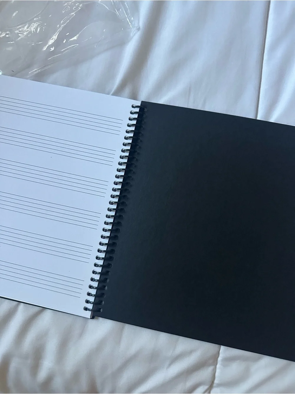 Summer of soul notebook